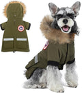 PINA Small Dog Coats - Waterproof, Warm Winter Jacket with Faux Fur Hood, Reflective, Flannel Lined, Windproof, Pocket