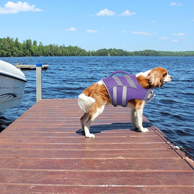 Kuoser Dog Life Jacket with Reflective Stripes, Adjustable High Visibility Ripstop Pet Life Preserver for Small, Medium and Large Dogs