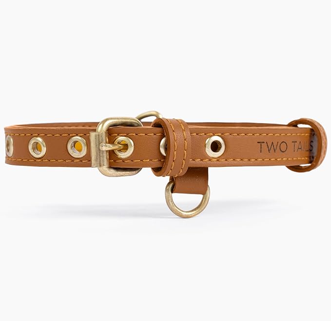 Two Tails Pet Company Cactus Vegan Leather Dog Collar, Adjustable Pet Collar With Gold Hardware and D Rings for Leash and ID Tag for Dogs and Puppies, Easy to Clean & Eco Friendly, Caramel, Size Large