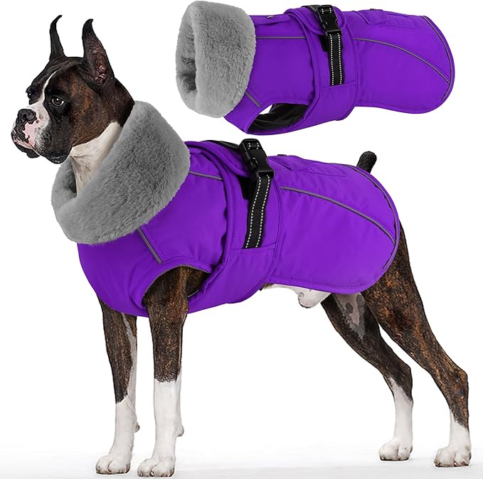 Dogcheer Dog Coat with Pocket, Waterproof Dog Jacket with Adjustable Buckle, Reflective Puppy Winter Coat Warm Turtleneck Fleece SnowJacket for Small Medium Large Dogs - Purple M