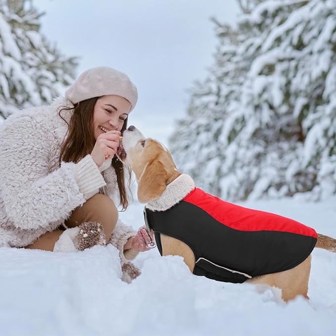 Warm Dog Coat,Waterproof Jacket in Winter Adjustable and Reversible Doggy Fleece Outfit,Thick Clothes with Foldable Collar for Puppy in Cold Days,M Red