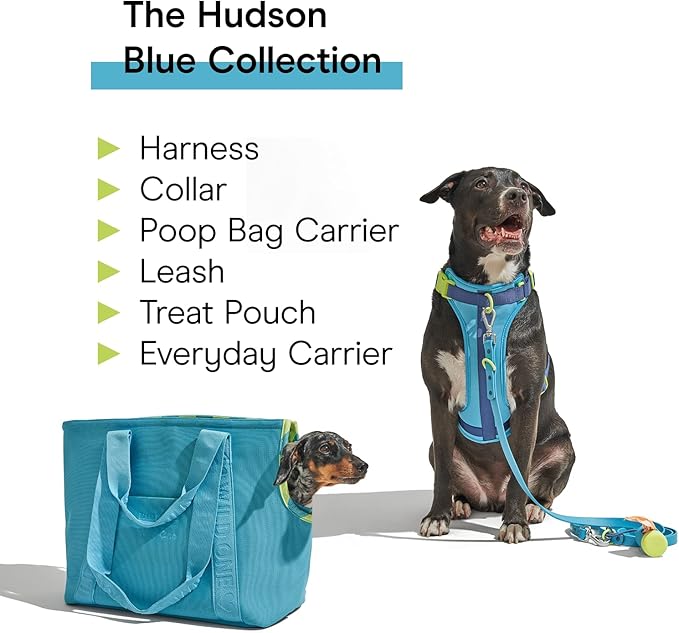 Wild One Dog Collar, Easy-Clean, All Weather Flex-Poly Strap with Metal, Durable, Dirt and Odor Resistant (Hudson, XL)