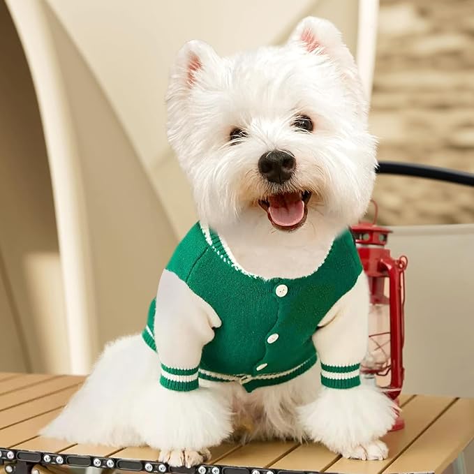 Small Dog Sweater Sweatshirt Cute Puppy Sweaters - Winter Green Warm Knitted Bear Design for Puppies (L)