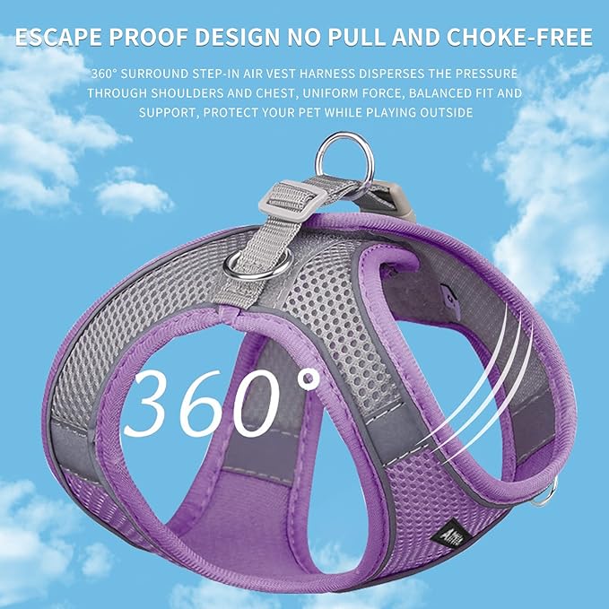 AIITLE Comfortable Dog Harness and Leash Set for Walking - Summer Step in Vest Harness,Reflective Bands, Adjustable No Pull Puppy Essentials, for Small Dogs and House Cats Purple XS