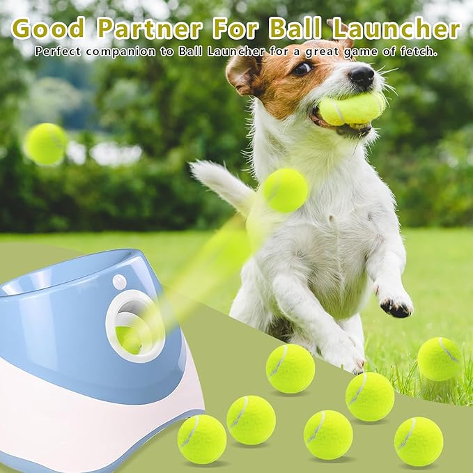 Magicorange 6 Pack Small Tennis Balls, 2 inch Tennis Balls for Dogs,Colorful Easy Catching Pet Playing Ball(Yellow, 6 Pack)