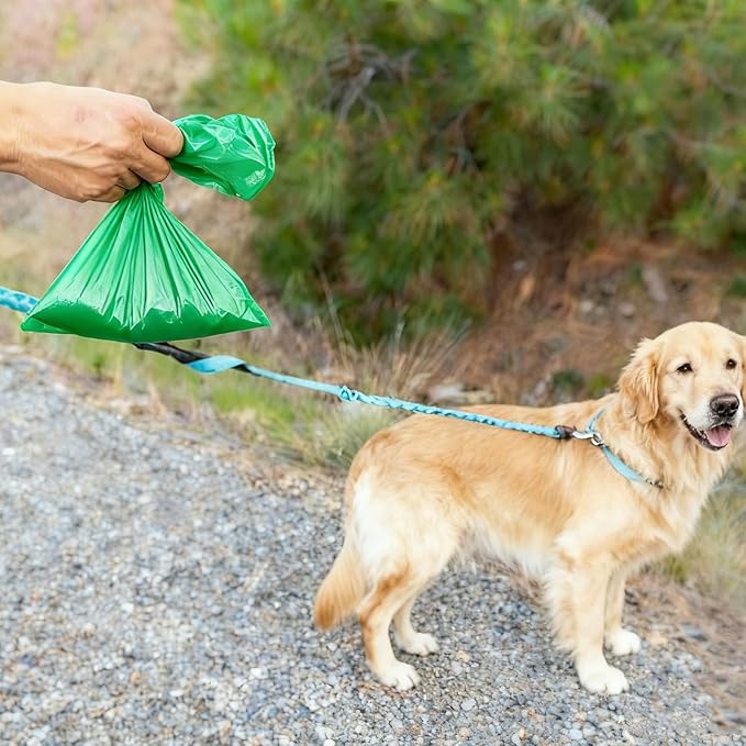 Odor-Sealing Dog Poop Bags S, 220 Count | Unscented & Durable Disposable Waste Bags for Pet Waste, Home & Travel Use (Green)