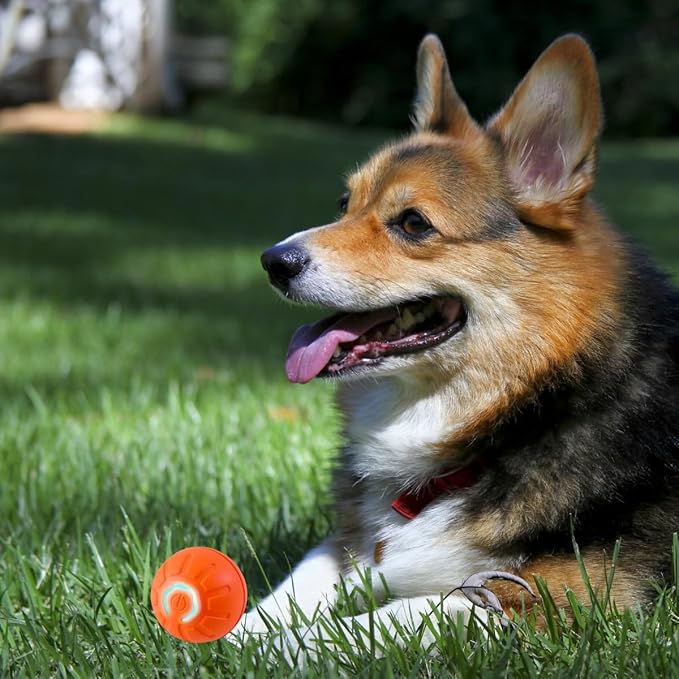 2PCS Shaky Ball for Dogs, Shaky Ball Toy for Dogs, Vibrating Dog Ball, Vibrating Ball for Dogs, Shaky Ball Moving Dog Toy, Automatic Moving Dog Toy Ball, Suitable for All Dogs (Orange+Blue)