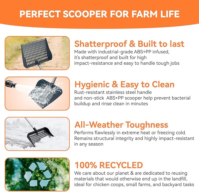 Chicken Poop Scooper & Rake 2-in-1, Pooper Scooper with 13in Wider PP Head & Adjustable Stainless Steel Handle, 33''-69'' Sand Sifting Shovel Litter Scooper for Chicken Coop/Small Farm Animals, Gray