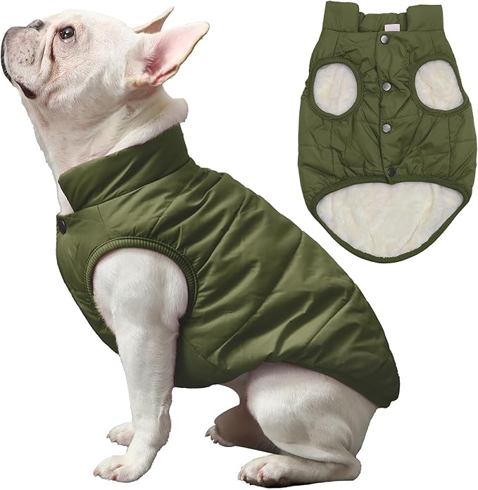 2 Layers Fleece Lined Warm Dog Jacket for Puppy Winter Cold Weather,Soft Windproof Small Dog Coat,Green XS