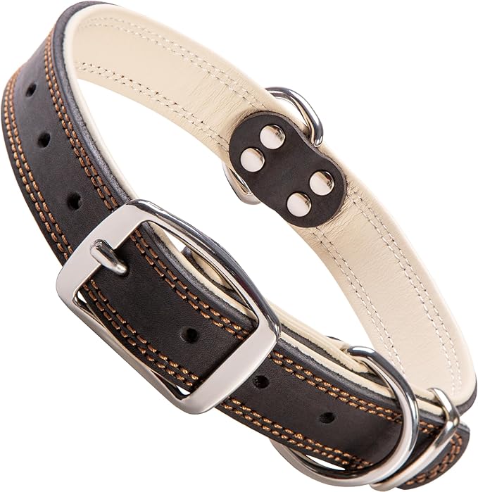 ADITYNA Heavy-Duty Black Leather Dog Collar for Large Dogs - Soft Padded for Comfort - Large Dog Collar for Walking, Training, and Hiking