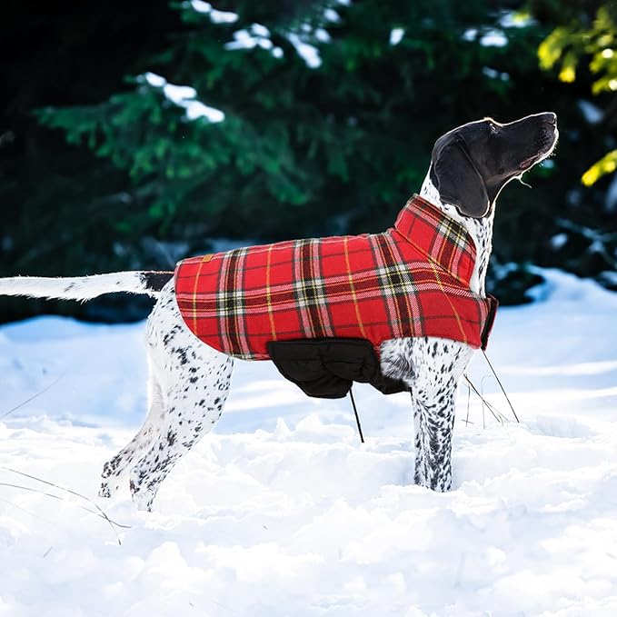 Kuoser Warm Dog Coat, Waterproof Dog Coats for X-Small Dogs, Adjustable Durable Doggie Winter Jacket Reversible Cozy Puppy Cold Weather Apparel from Small to Large Breed, Bright Red XS