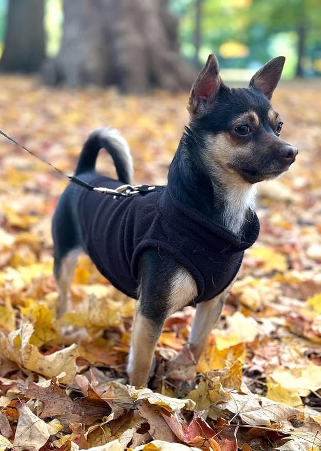 JACKO & CO - Fleece Vest Dog Sweater with Leash Ring - Soft, Warm & Lightweight Pullover Coat for Small & Medium Dogs, Puppies & Cats - Cozy Fall/Winter/Spring Pet Jacket (Black, XS 2-4lbs)