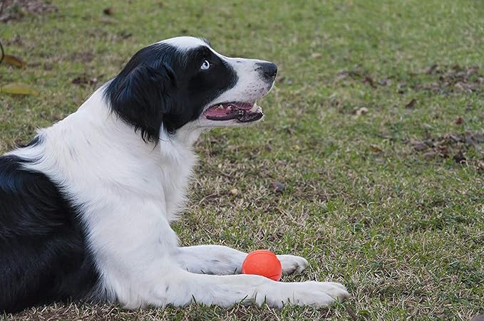 Hard Rubber Balls for Dogs,Dog's Solid Rubber Bouncy Ball Bite Resistant and Indestructible Dog Training Ball,Dog Balls for Aggressive Chewers