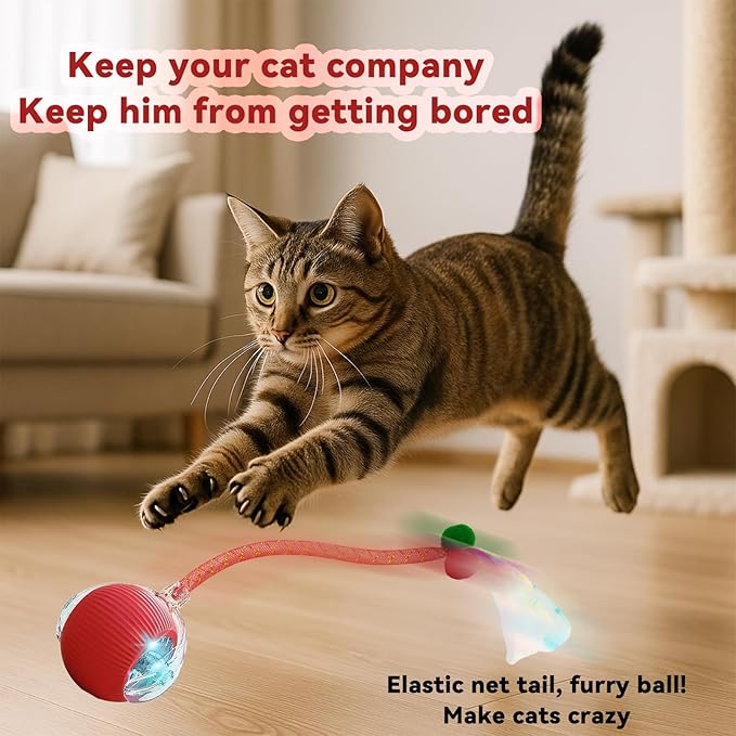 Interactive Cat Toys for Indoor Cats, Automatic Cat Toy with Elastic Mesh Tail, Electric Rolling Ball on Carpet, Chirping and Motion Activate Cat(Grey)