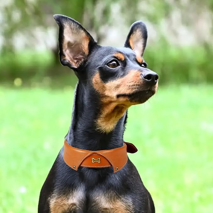 | Formal Tuxedo Shirt Collar Style Genuine Leather Collar for Dogs & Cats | Party Apparel | Comfortable, Strong, Cushion Napa Padding (M (Fit Neck Size 14.5"-18.5"), Shirt Collar - Tan)