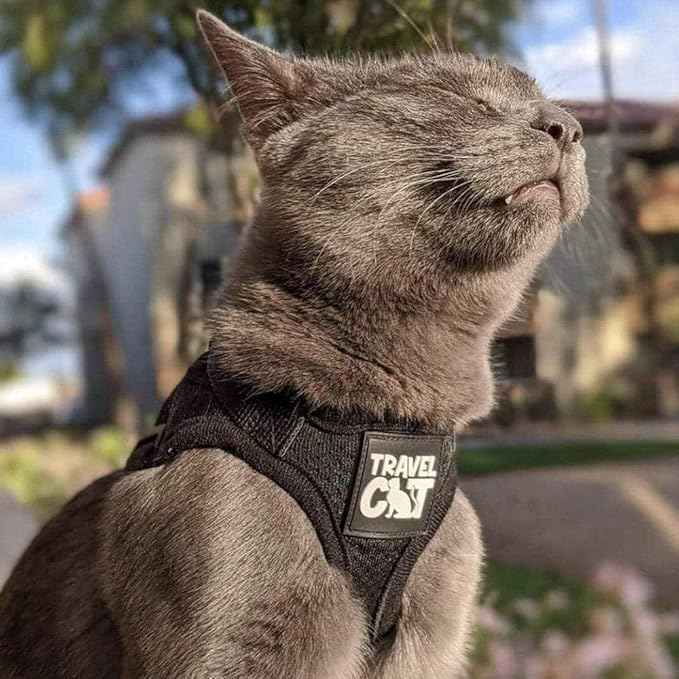 Travel Cat Harness and Leash Set - Adjustable Fit Mesh Cat Harness and Reflective Strap - Comfort Walking Vest for Kitten for Outdoor Walking, Hiking (Medium, Black)
