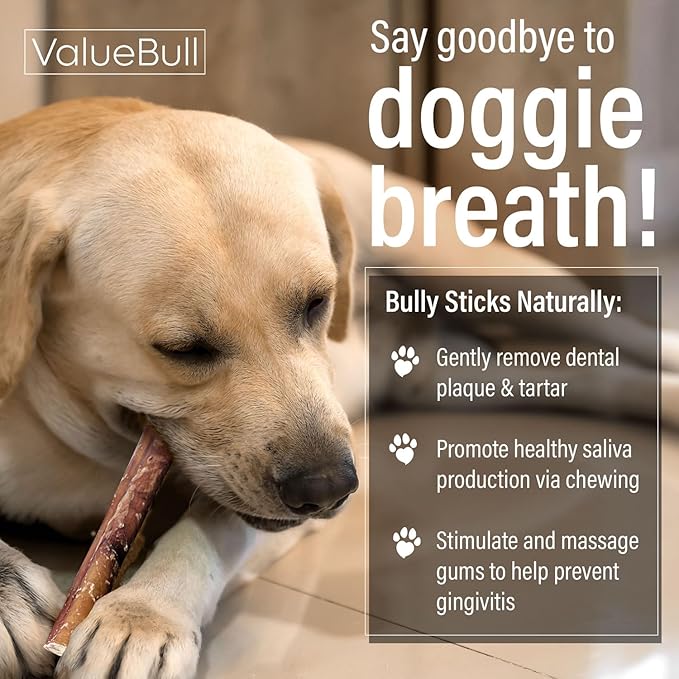 ValueBull Bully Sticks for Dogs, Thick 6 Inch, 50 Count - All Natural, Grass Fed, Single Ingredient, Long Lasting Dog Treats