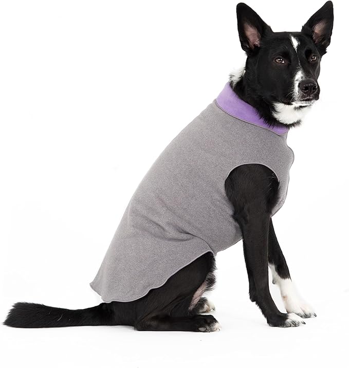 Goldpaw Duluth Double Fleece Dog Sweater Vest for Small Dogs - Soft, Stretchy Dog Fleece - Warm Pet Jacket for Fall and Winter - Premium Pet Outerwear - Machine Washable - Charcoal/Lavender - Size 8