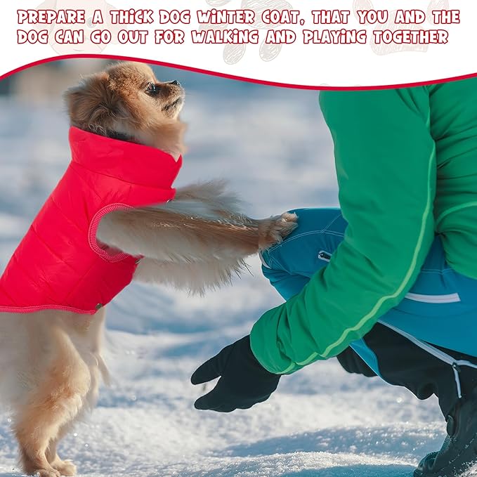 Syhood 2 Pieces Dog Jacket 2 Layers Fleece Lined Dog Jacket Warm Soft Windproof Small Pet Coat for Winter Cold Weather(M,Red,Pink)