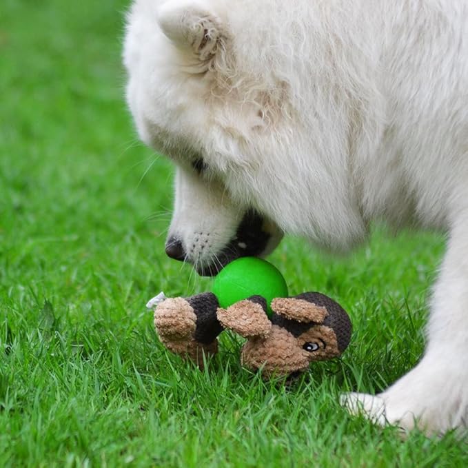 Raffaelo Dog Toys, Puppy Toys, Stuffed Teething Cleaning Chew Toys, Plush Interactive Dog Toys to Keep Them Busy with Squeaky, Training Reward Gift - (5.9-6.3")
