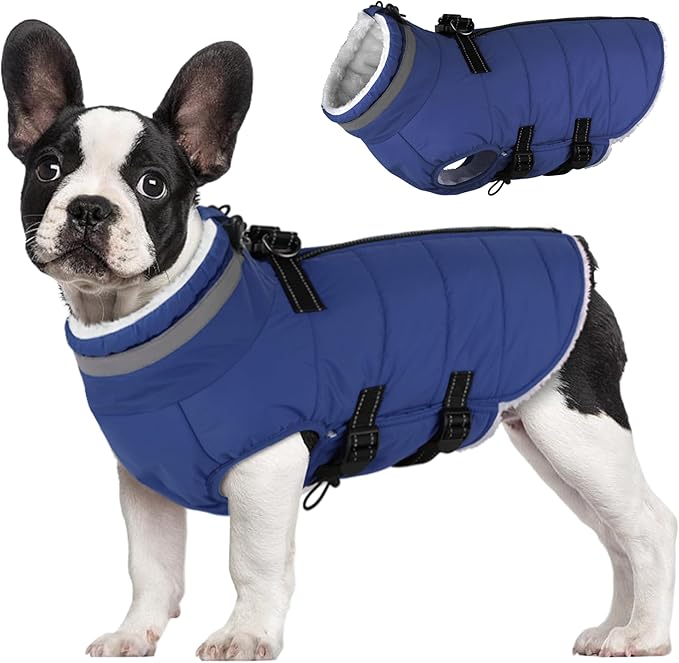 Large Dog Coat with Harness Built-in, Waterproof Reflective Fleece Lined - Warm Windproof Winter Jacket with Back Zipper, Cold Weather Snow Dog Coats - Blue - 3XL