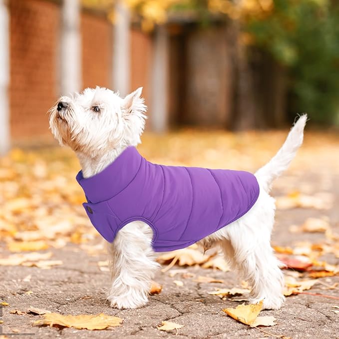 ASENKU Dog Winter Coat - Waterproof Windproof Dog Jacket, Warm Snowproof Doggie Puffer Vest for Cold Weather, Lightweight Snow Coats for Small Medium Large Dogs (Purple, M)