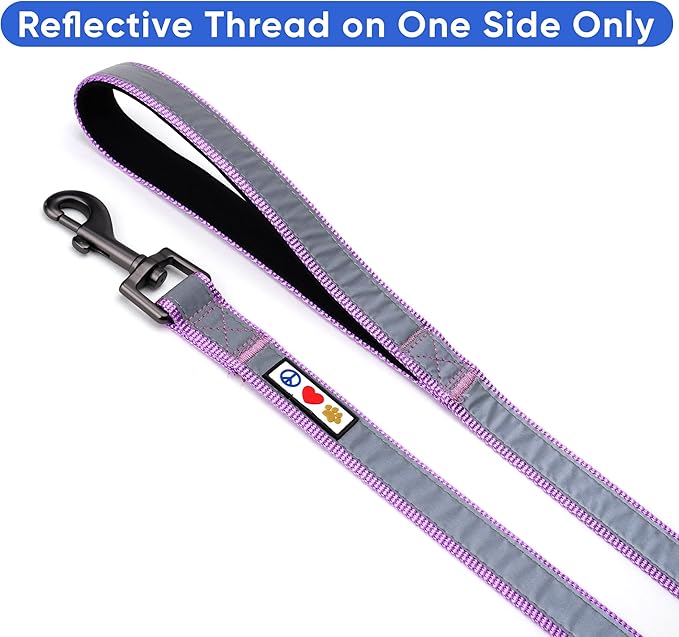 Pawtitas 6 FT Padded Dog Leash with Comfortable Neoprene Padding Handle - Purple Lead | Small Reflective Dog Leash with Highly Reflective Band Perfect for Extra Small and Small Dogs and Puppies.
