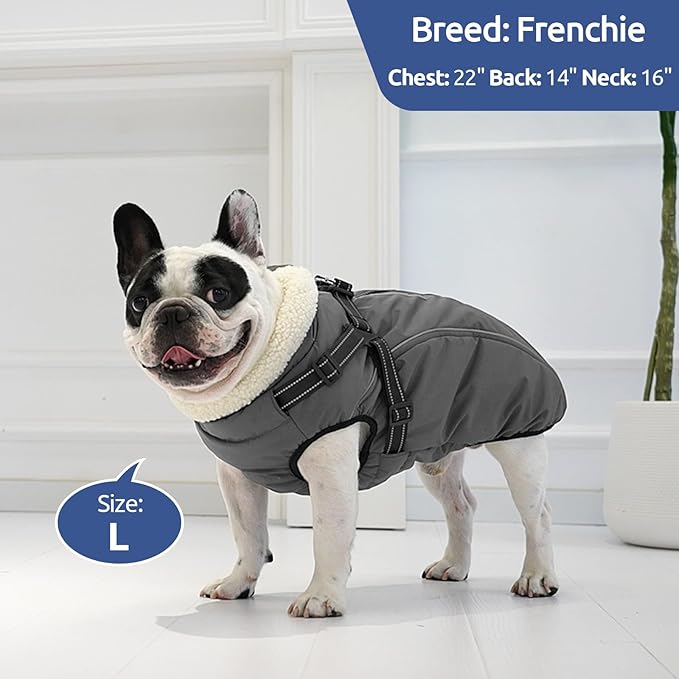 Dog Winter Coat with Harness Built in Warm Puffer Dog Jackets for Small Medium Large Dogs Windproof Waterproof Outfit with Plush Lining and Reflective Stripes (Grey, L)