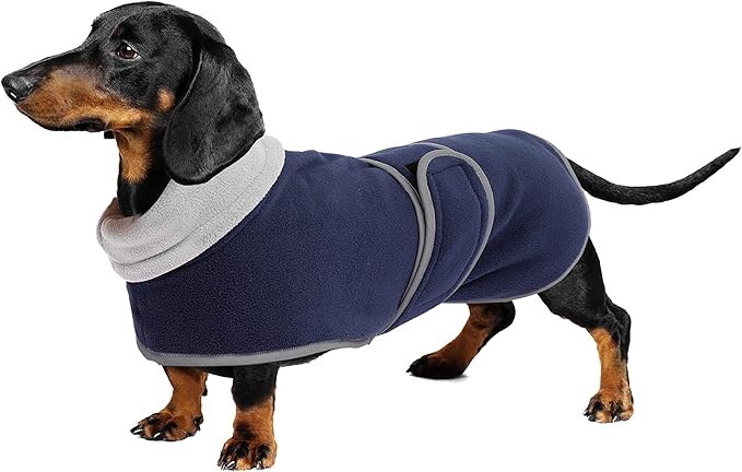 Geyecete Dachshund Sweaters for Dogs Jacket - Dachshund Coat Winter Coat with Padded Fleece Lining and High Collar - Snowsuit with Adjustable Bands - Navy - XL