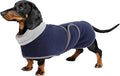 Geyecete Dachshund Sweaters for Dogs Jacket - Dachshund Coat Winter Coat with Padded Fleece Lining and High Collar - Snowsuit with Adjustable Bands - Navy - XL