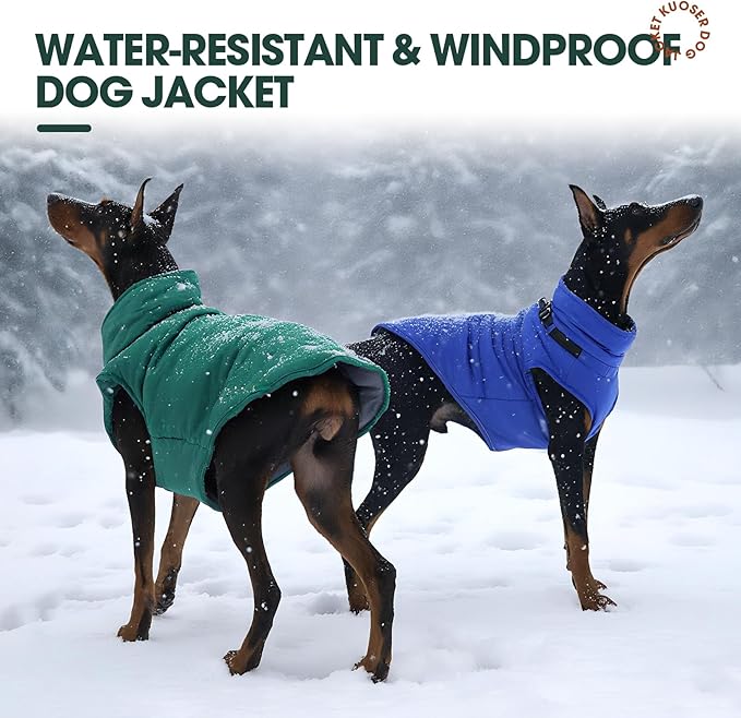 Kuoser Winter Dog Coat for Medium Dogs, Cold Weather Jacket & Vest for French Bulldog, Boston Terrier, Blue M