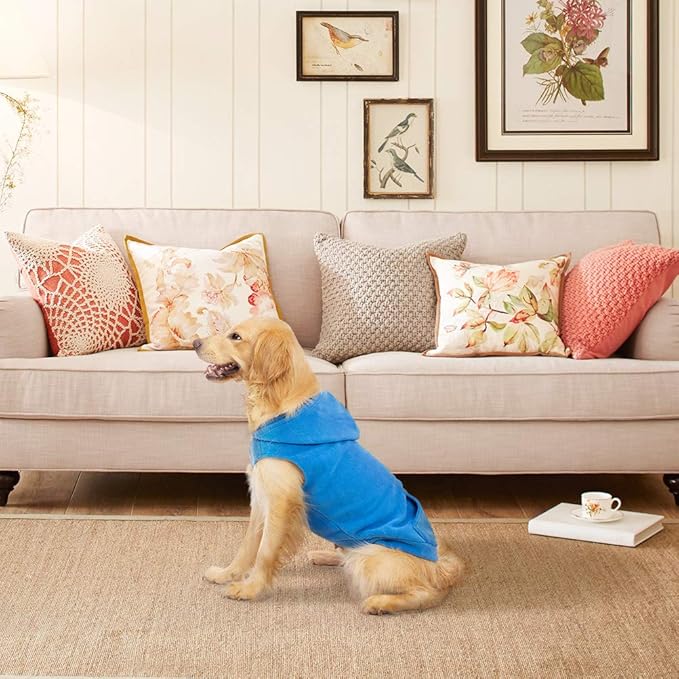 EXPAWLORER Dog Hoodie Fleece Sweater Vest, Hooded Dog Sweatshirt Fall Winter Pet Clothes with Leash Ring, Sleeveless Warm Cozy Puppy Clothing for Cat Small Medium Large Dogs Girl Boy, Blue M
