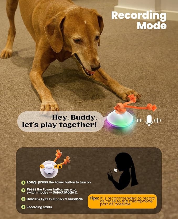 Smart Interactive Dog Toys, Automatic Moving and Rolling Dogs Ball with Rope, Motion-Activated Wicked Ball for Small Medium Dogs for Boredom, RGB Lights, Stimulating Sound, Voice Recording