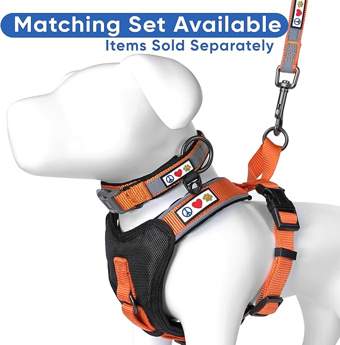 Pawtitas 6 FT Padded Dog Leash with Comfortable Neoprene Padding Handle - Orange Lead | Medium Reflective Dog Leash with Highly Reflective Band Perfect for Medium and Large Dogs and Puppies.