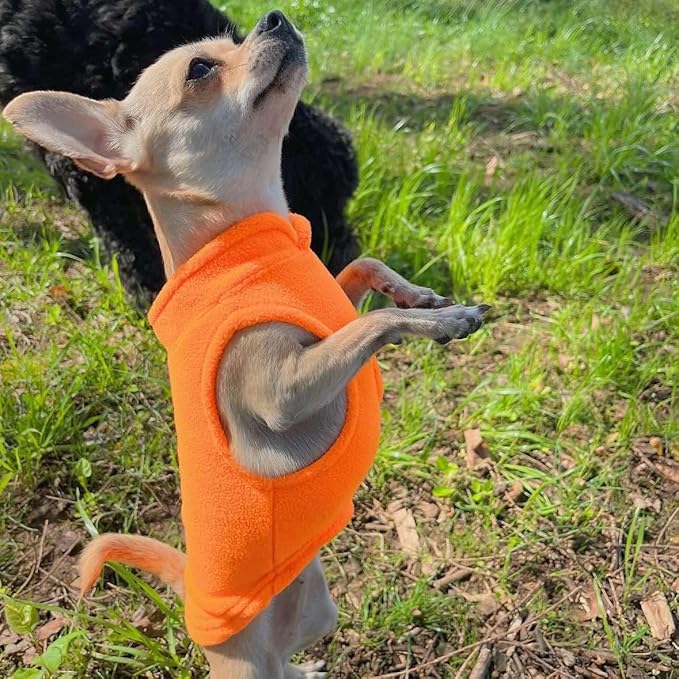 JACKO & CO - Fleece Vest Dog Sweater with Leash Ring - Soft, Warm & Lightweight Pullover Coat for Small & Medium Dogs, Puppies & Cats - Cozy Fall/Winter/Spring Pet Jacket (Pumpkin, Large 10-16lbs)