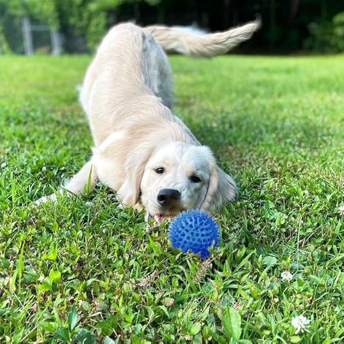 Cutie's PetBox Squeaky Rubber Spike Toy Ball for Small Dogs (2.5 Inch, Blue)