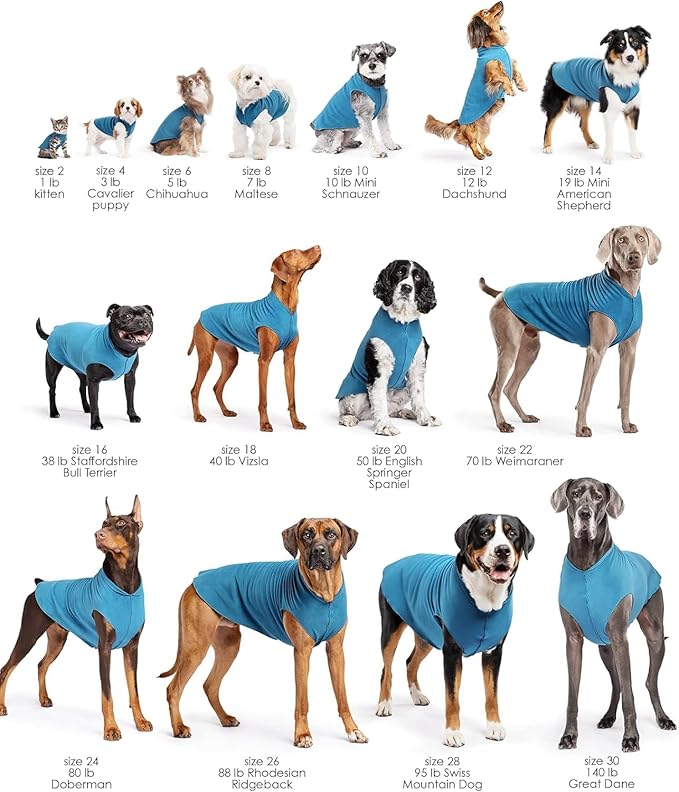 Goldpaw Stretchy Fleece Jacket for Small Dogs - Super Soft, Warm Dog Sweater - Pet Sweater Vest for Fall and Winter - Canine Clothes Made in The USA - Machine Washable - Gold Buffalo Check - Size 20