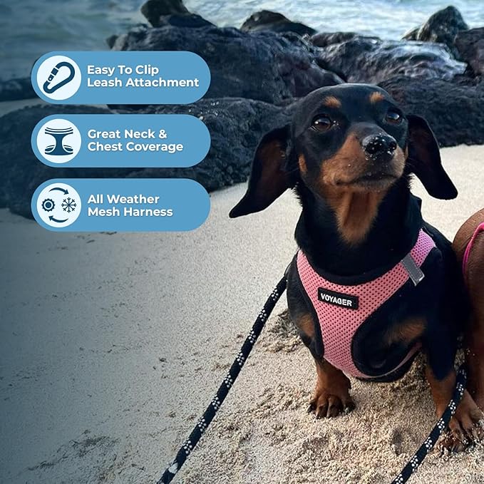 Voyager Step-In Air Dog Harness by Best Pet Supplies - All Weather Mesh Step in Vest Harness for Small and Medium Dogs, Pink/Black Trim, size XS - Chest: 13 - 14.5"