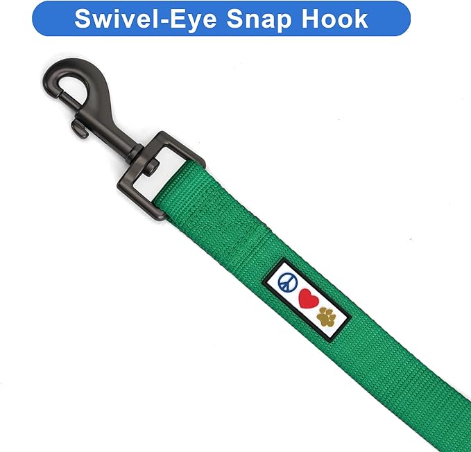 Pawtitas 6 FT Solid Lush Green Leash for Puppy Training - Extra Small to Small Dog Leash