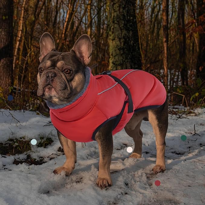 IECOii Warm Dog Coat - Adjustable Jacket with Reflective Fleece Turtleneck for Cold Weather, Soft Winter Coat for Small to Extra Large Dogs