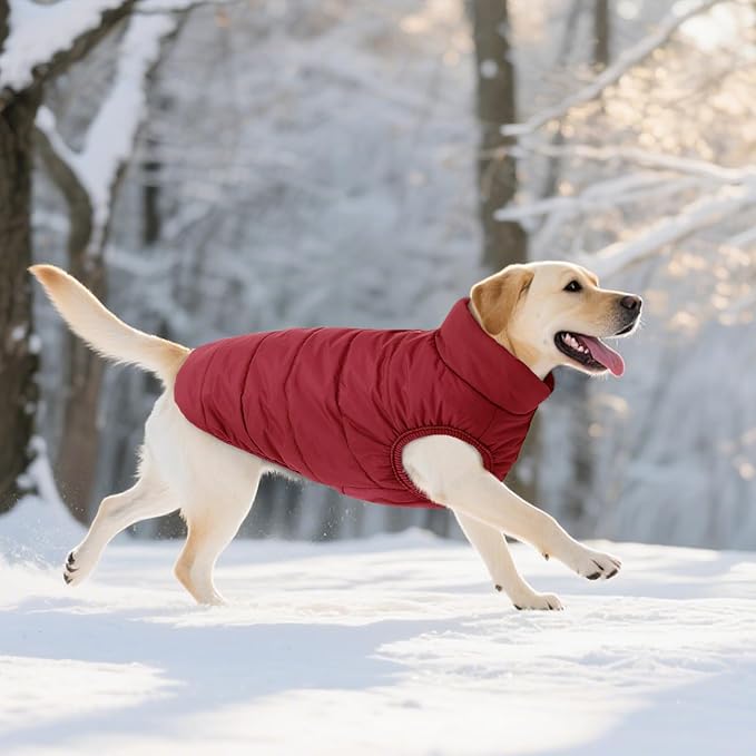 ASENKU Dog Winter Coat - Waterproof Windproof Dog Jacket, Warm Snowproof Doggie Puffer Vest for Cold Weather, Lightweight Snow Coats for Small Medium Large Dogs(M, Red)