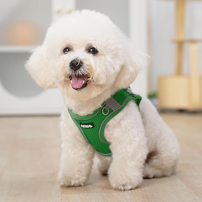 AIITLE Step in Dog Harness and Leash Set - Summer No Pull Escape Proof Vest Harnesses with Soft Mesh and Reflective Bands, Adjustable Pet Outdoor Harnesses for Small and Medium Dogs Green M