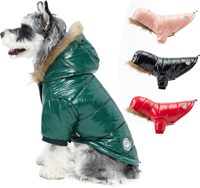 PINA Dog Winter Coat with Faux Fur Hood, Windproof and Warm, Suitable for Small to Large Dogs, Green, S