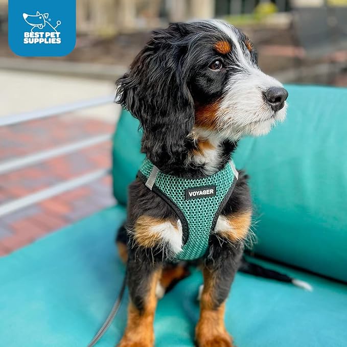 Best Pet Supplies Voyager Step-in Air Harness - All Weather Mesh, Reflective, No Pull Harness for Dogs, Cats - Secure with Hook & Loop Fastener, Buckle, Double D-Rings - Tone, S
