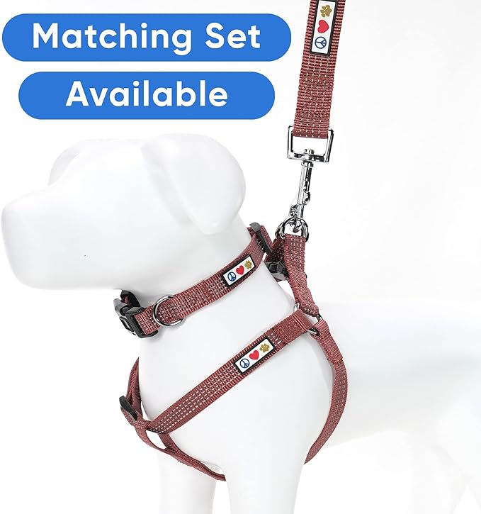 Pawtitas 6 FT Pet Puppy Leash Reflective Dog Leash Comfortable Handle Highly Reflective Threads Heavy Duty Dog Training Leash Available as a 6 ft Medium Dog Leash or 4 ft Dog Leash