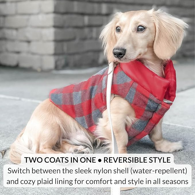 DJANGO Reversible Puffer Dog Coat – Warm Winter Dog Jacket & Water-Repellent Insulated Dog Coat with Harness Hole, Windproof, Adjustable Fit for Small & Medium Dogs, Dachshunds – Lava Red, Medium