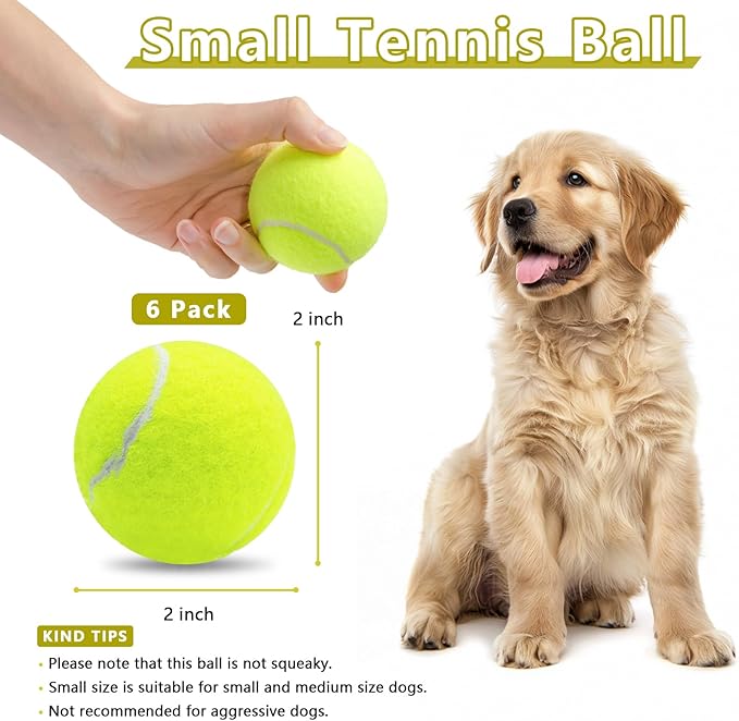 Magicorange 6 Pack Small Tennis Balls, 2 inch Tennis Balls for Dogs,Colorful Easy Catching Pet Playing Ball (Multicolor, 6 Pack)