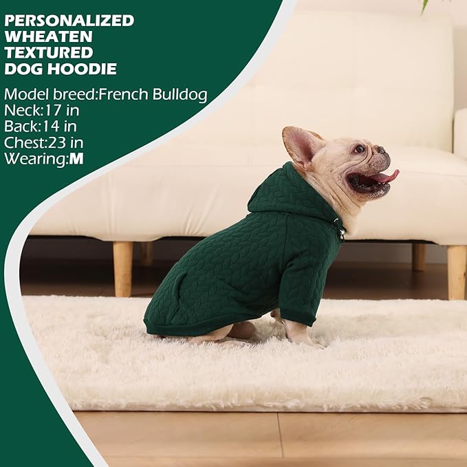EXPAWLORER Textured Cable Knit Basic Dog Hoodie, Elevated Style Dog Sweater with Leash Hole and Pocket, Soft and Warm Pet Winter Coat, Cold Weather Clothes for Small Medium Large Dogs Cats,Green XXL
