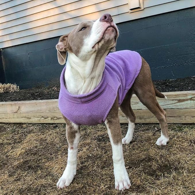 Gooby Stretch Fleece Vest Dog Sweater - Lavender, Large - Warm Pullover Super Stretchy Fleece Dog Jacket for Small to Large Dogs