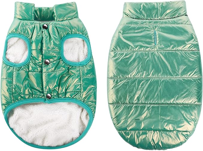 ASENKU Dog Winter Coat - Waterproof Windproof Dog Jacket, Warm Snowproof Doggie Puffer Vest for Cold Weather, Lightweight Snow Coats for Small Medium Large Dogs (Mint Green, L)